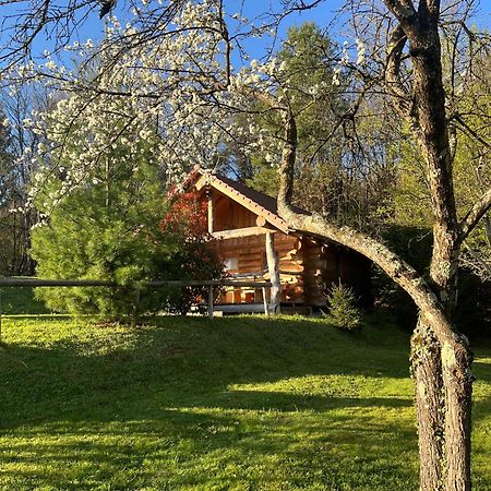 Hut At The Forest Male Brusnice Extérieur photo