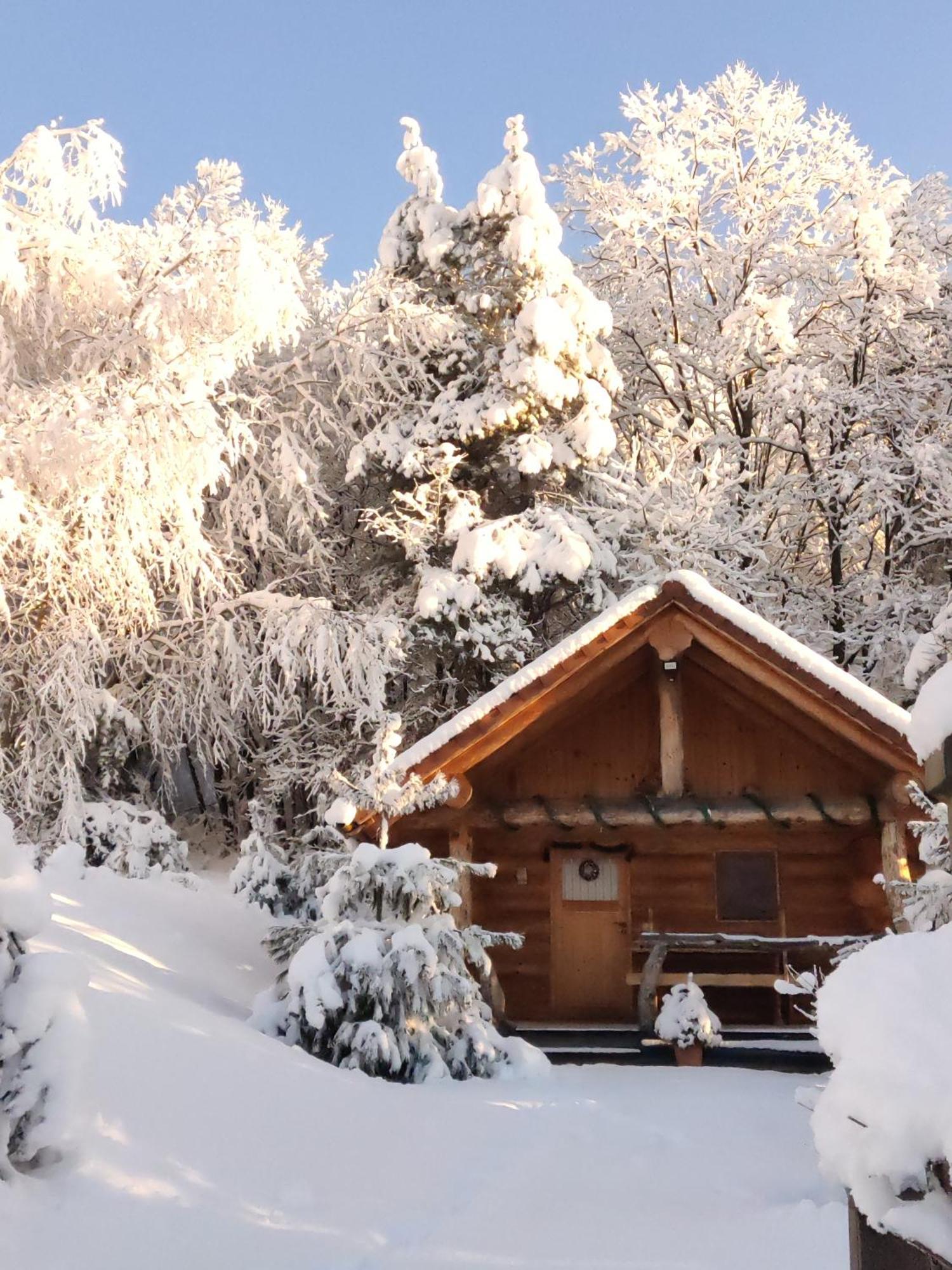 Hut At The Forest Male Brusnice Extérieur photo